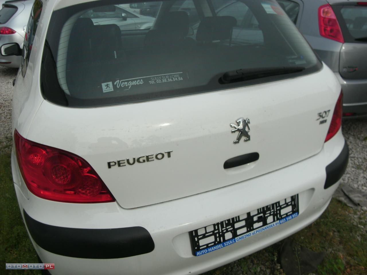 Peugeot 307 OKAZJA